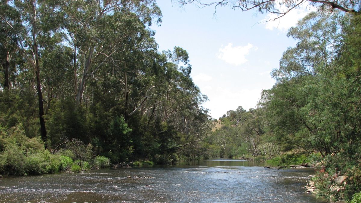 Wonga Park, Victoria — in the service area for gutter cleaning